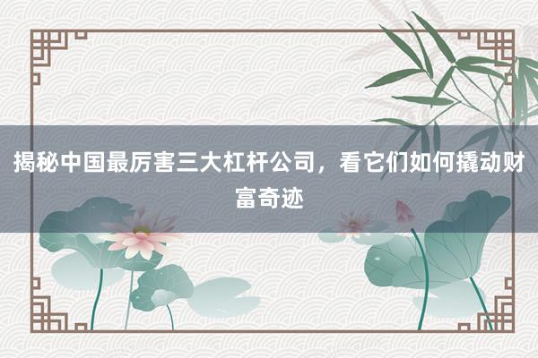 揭秘中国最厉害三大杠杆公司，看它们如何撬动财富奇迹