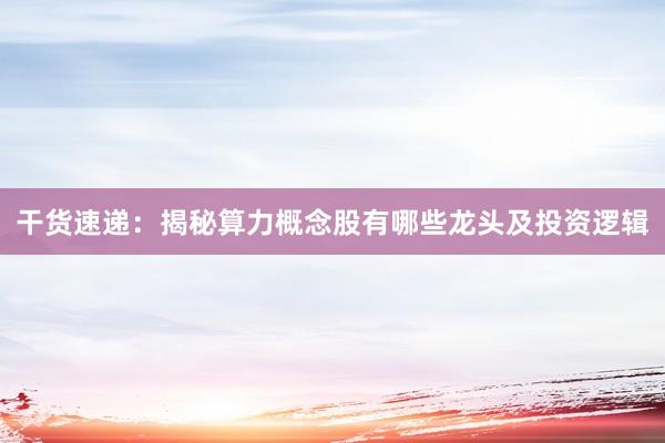 干货速递：揭秘算力概念股有哪些龙头及投资逻辑