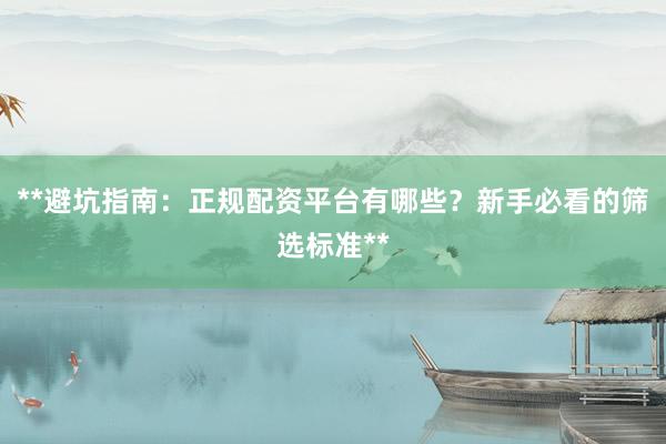 **避坑指南：正规配资平台有哪些？新手必看的筛选标准**
