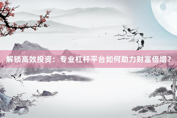 解锁高效投资:专业杠杆平台如何助力财富倍增?