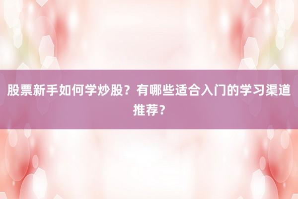 股票新手如何学炒股？有哪些适合入门的学习渠道推荐？