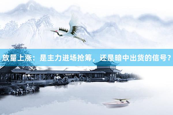 放量上涨：是主力进场抢筹，还是暗中出货的信号？